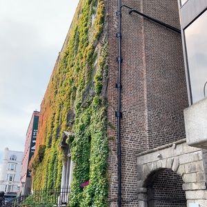 Meet your Posher, Carly